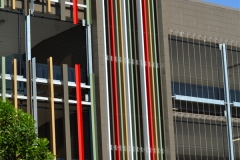 Griffith University