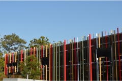 Griffith University