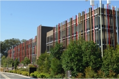 Griffith University